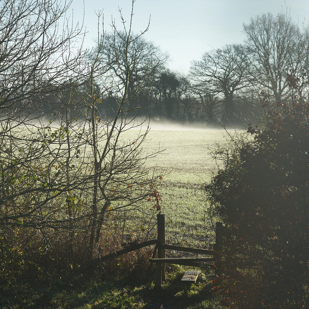 WINTERY WANDERINGS - Fawn Interior Designers Hampshire, Surrey, Sussex, London, Cotswolds